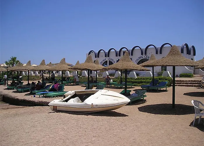 Palm 3*
